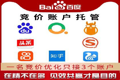 某电商平台的SEM专员营销策略